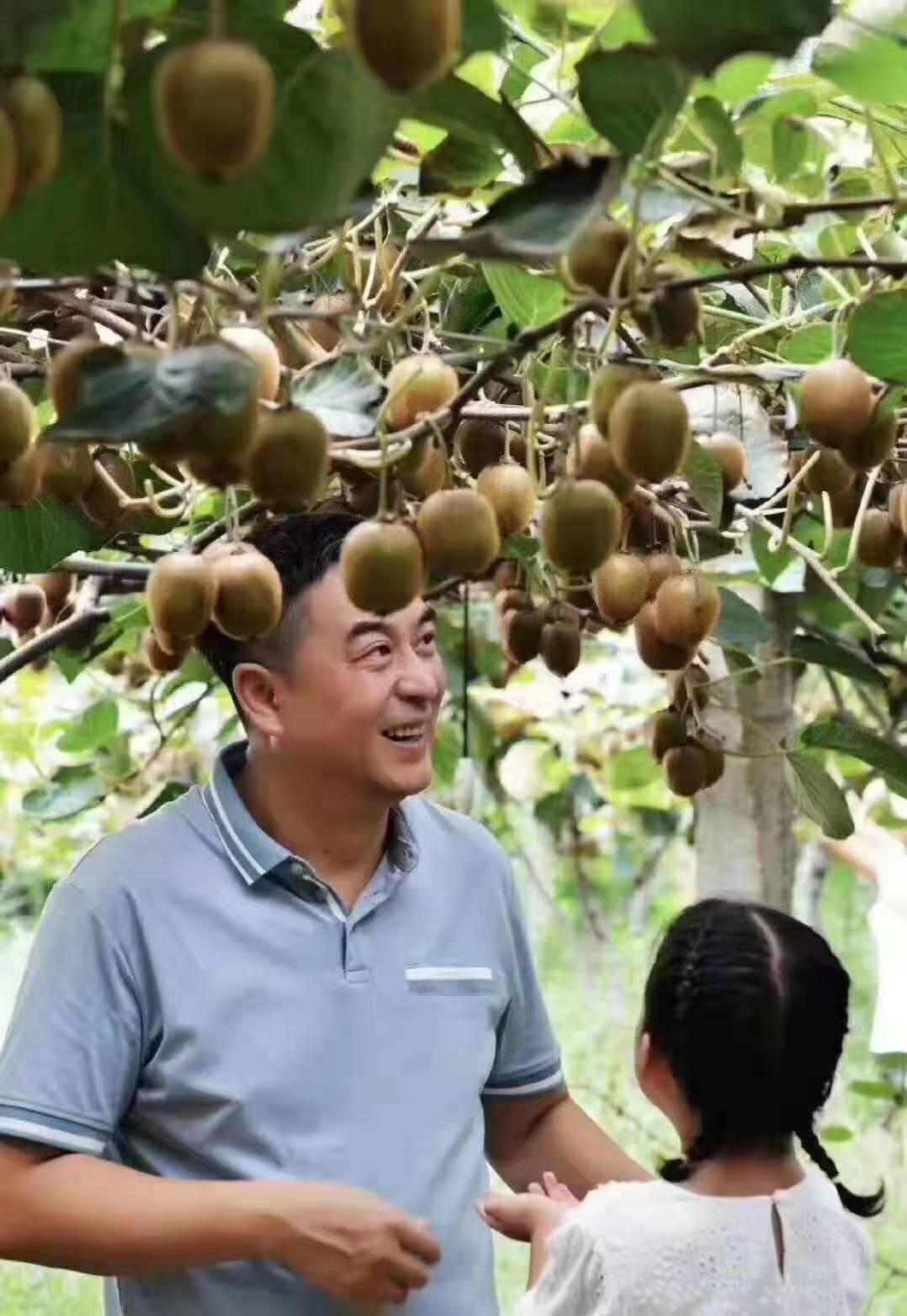 张嘉译:周至猕猴桃,小时候的味道,真好吃