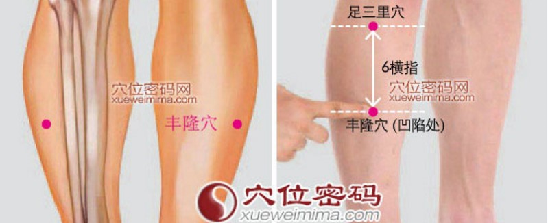 足三里与丰隆穴通电连在一起调整脾胃功能