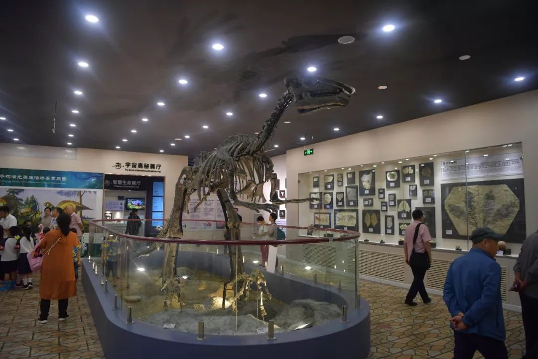 重返侏罗纪,恐龙也疯狂!长春龙空降净月潭,等待勇敢的你!