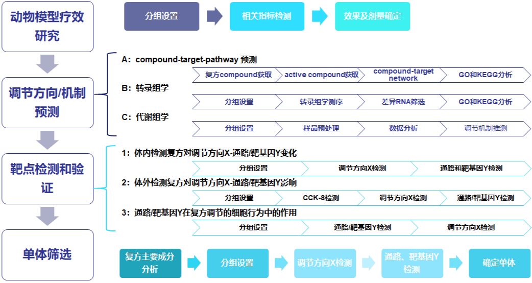 網絡藥理學賦能中醫藥現代化研究揭示中醫古方奧妙