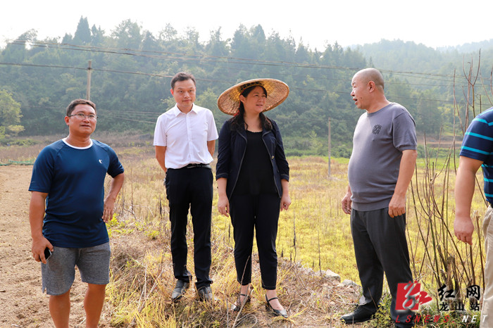 龙山县委书记时荣芬图片