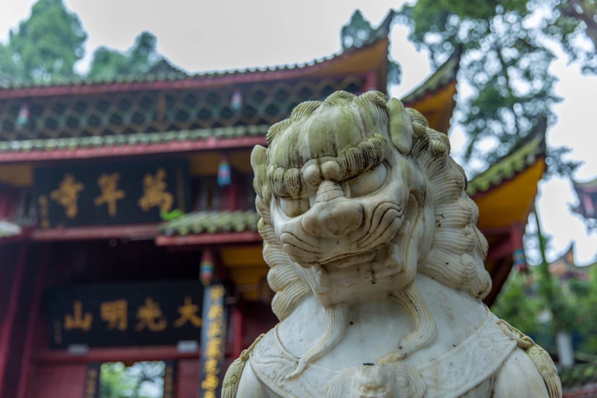 原创四川被忽视的寺庙是峨眉山历史最悠久古刹之一是全国重点寺院