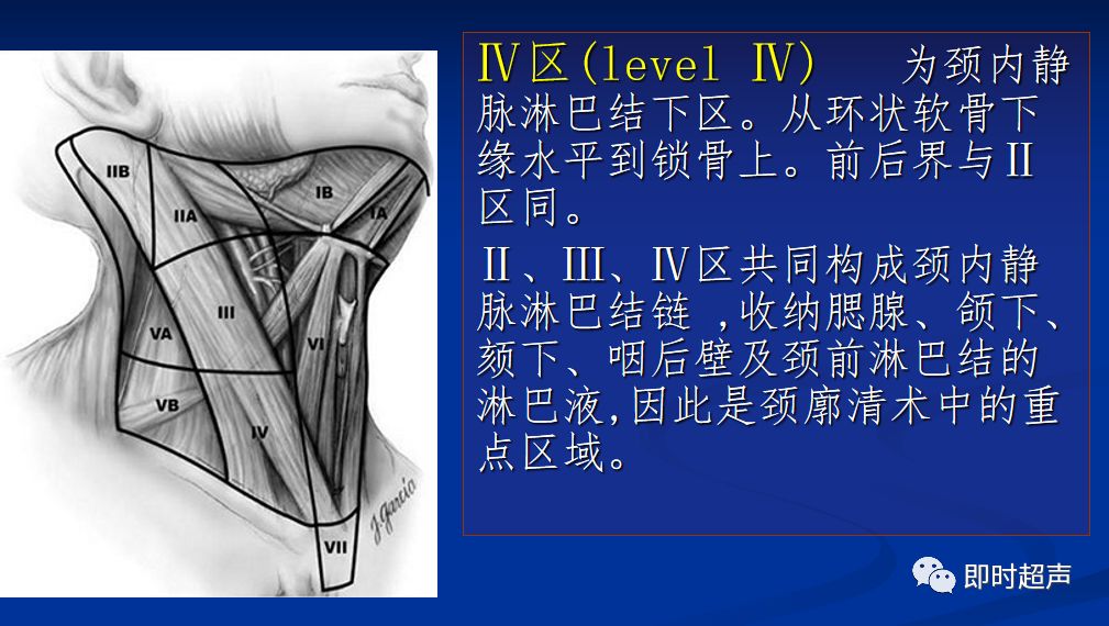 浅表淋巴结疾病的超声诊断