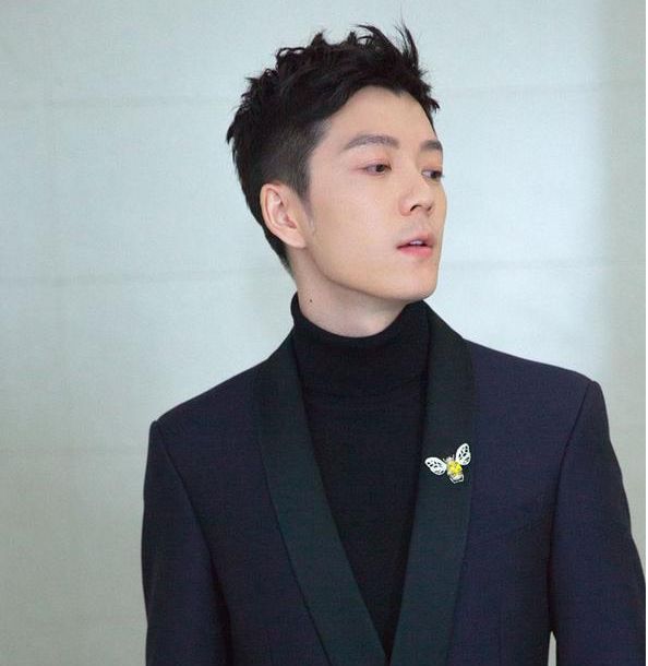 当小欢喜演员西装上身后的效果一凡磊儿英子你喜欢哪个呢