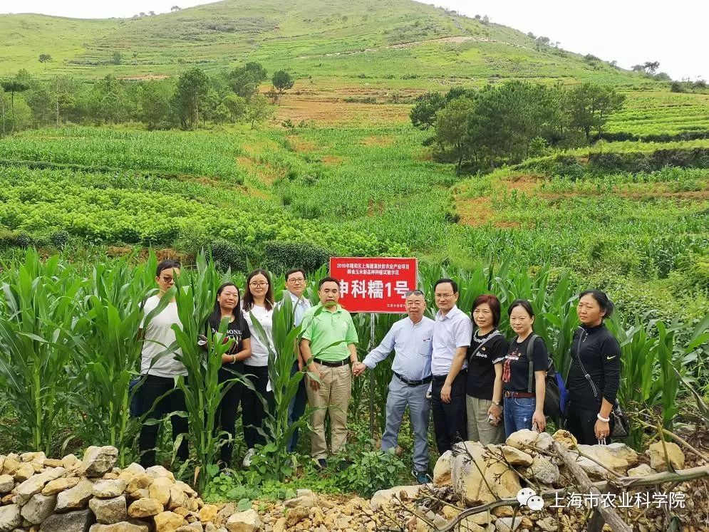 农业技术推广助力现代农业发展