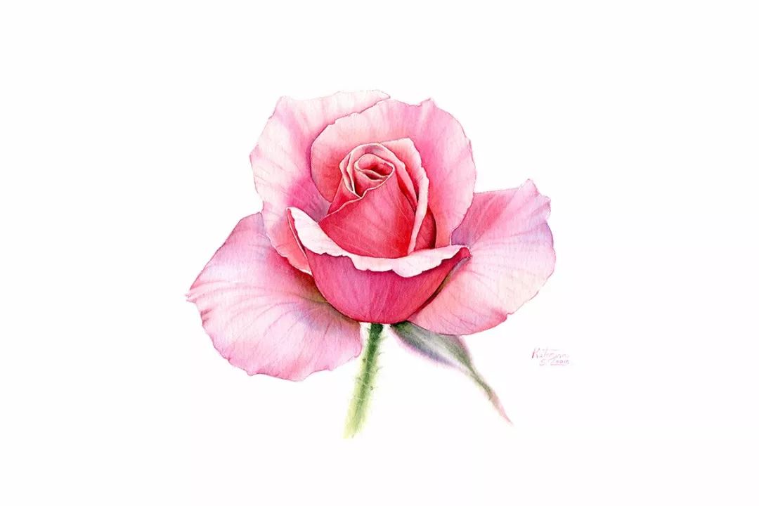 仙气满满的水彩手绘,快来吸一下