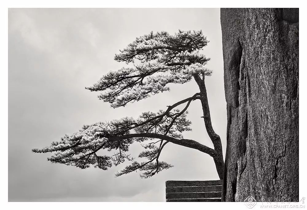 第十二届中国摄影金像奖董冬奇境缘之空山