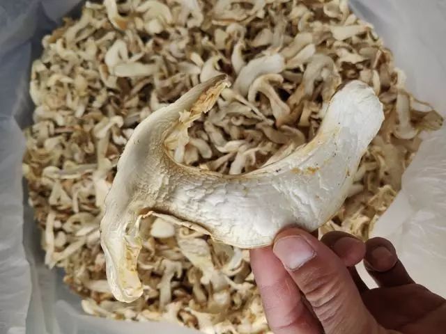 香格里拉骗局按客户亲疏远近松茸干片混入10至90高仿菌真假难辨仍高价