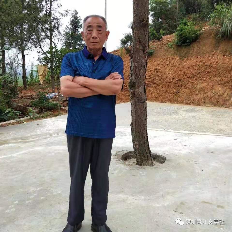 第414期诗林撷英付金陵和风细雨催春早数日江南织绵洲个人诗词专刊