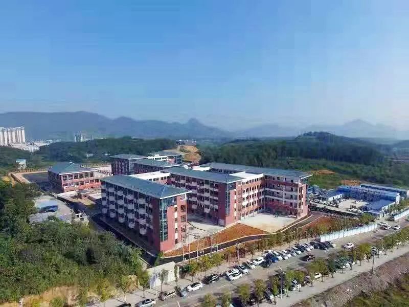 宿迁教育新动态：多元发展与合作共进的力量