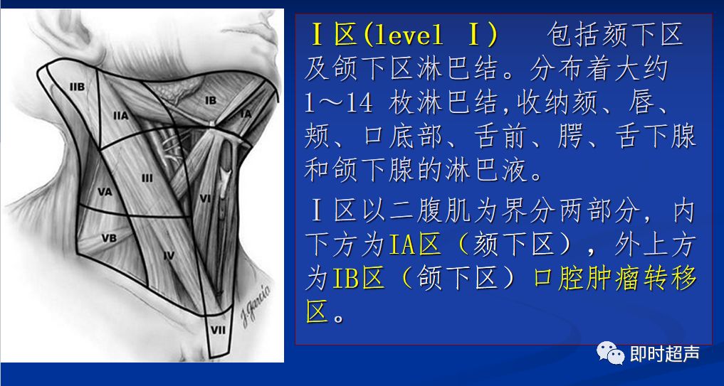 Ⅰ区 ( level Ⅰ)(一)颈部淋巴结分区深部:腹腔及腹膜后(肠系膜,腹