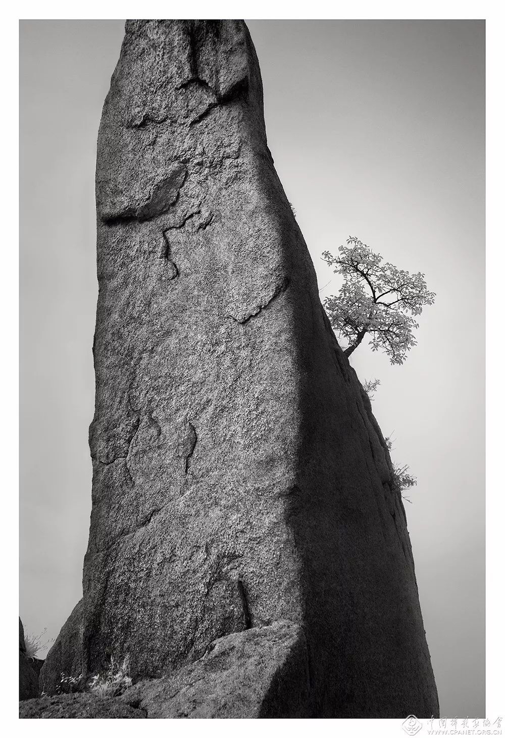 第十二届中国摄影金像奖董冬奇境缘之空山