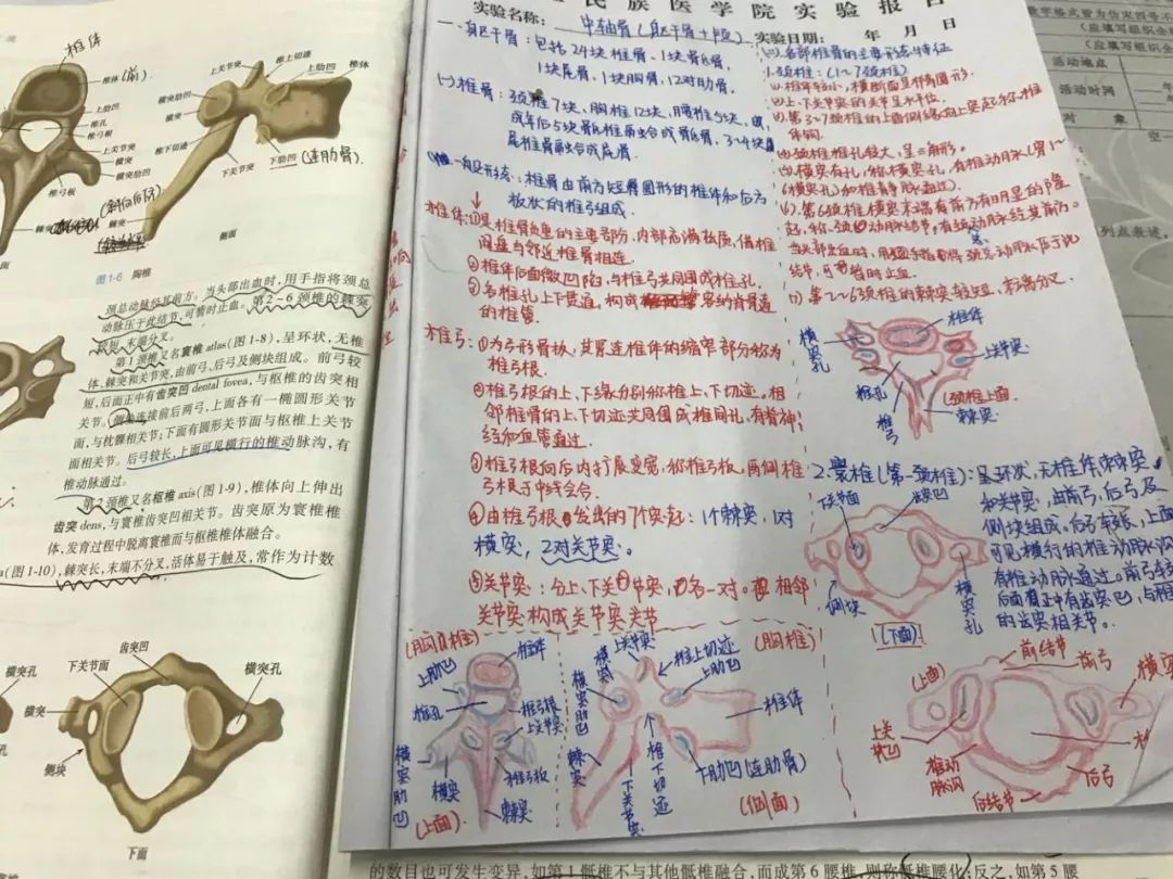 医生字迹有多野其实当医生还是医学生时