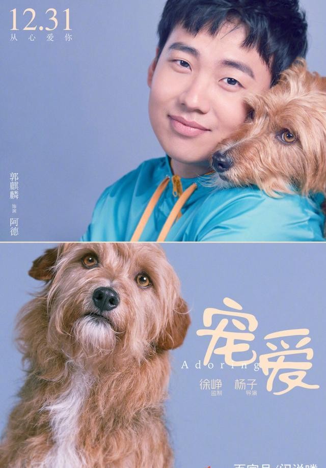 宠爱官宣超豪华演员阵容和王牌宠物演员期待宠爱