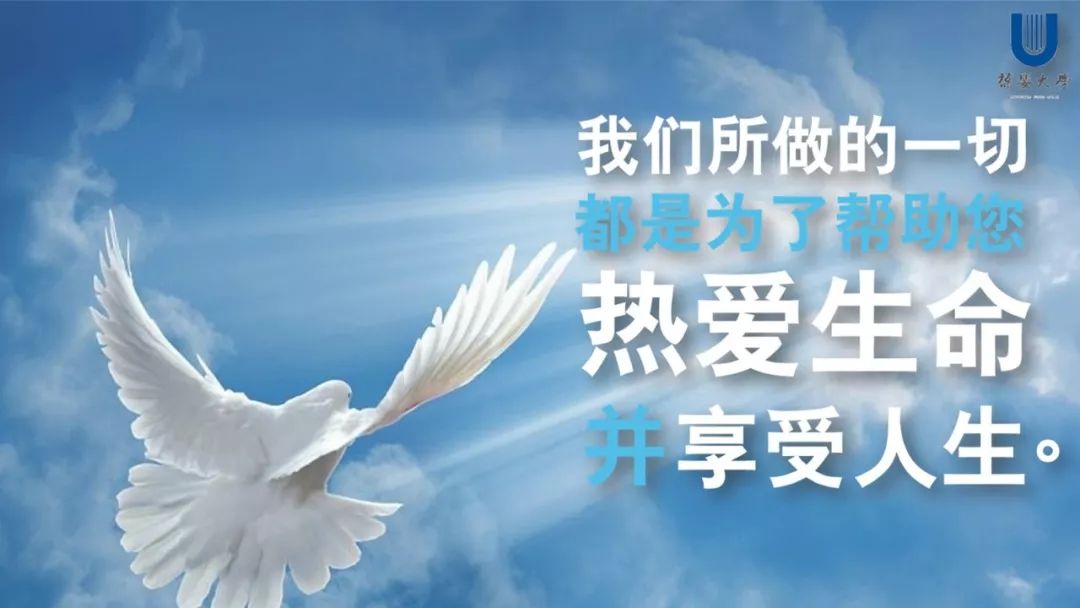 解决人的三大核心需求:健康 财富 精神我们的愿景:帮助您热爱生命并