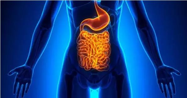 会致肝衰肠穿孔克罗恩病辣条真正的风险并不是这些