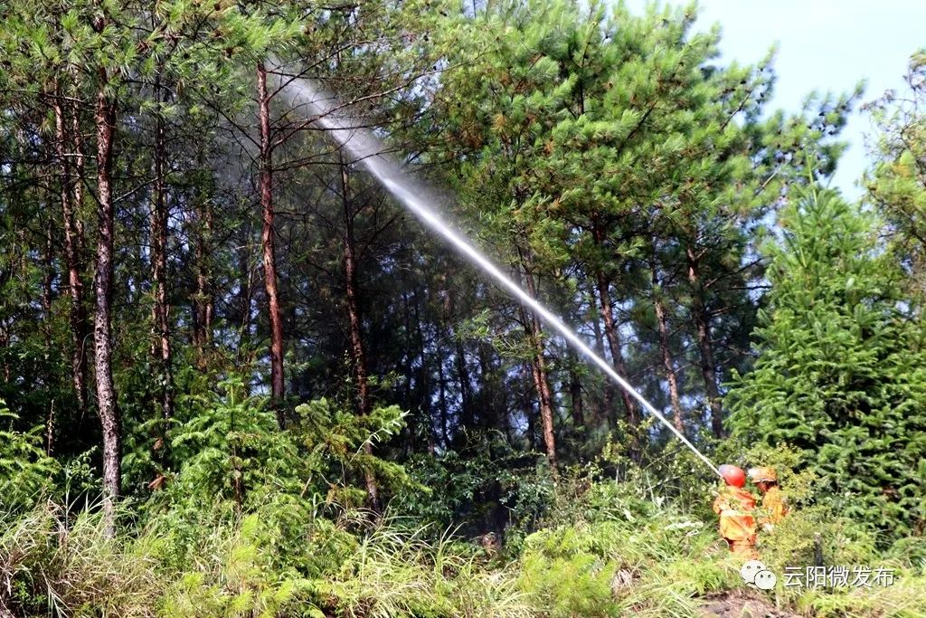 無人機,高壓細水霧滅火機,油鋸等消防滅火工具悉數亮相,這也是我縣