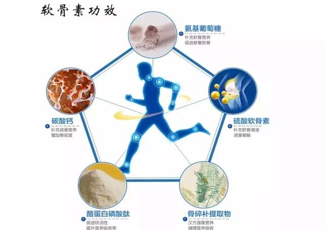 关节健康问题,这几点不能忽视