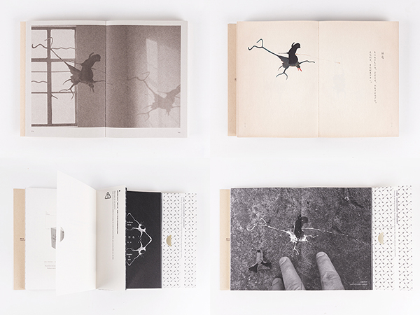 设计师朱赢椿我们走太快了以至于都发现不了脚下的生命