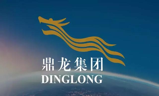 重磅鼎龙集团首进雷州落子西湖水库旁