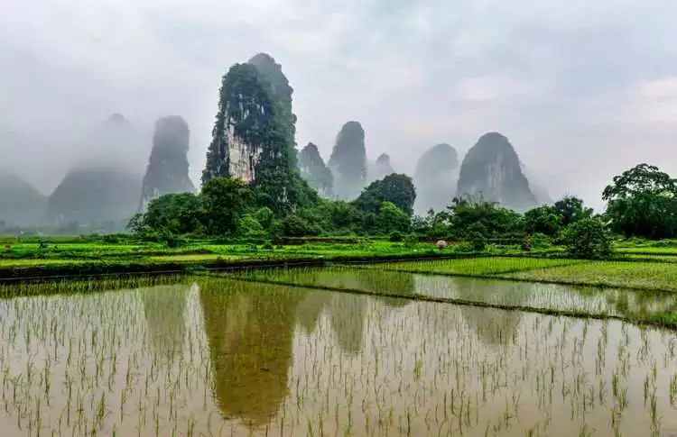 惊艳!雁山竟有如此仙境般的地方,令摄影家,画家,游客流连忘返.