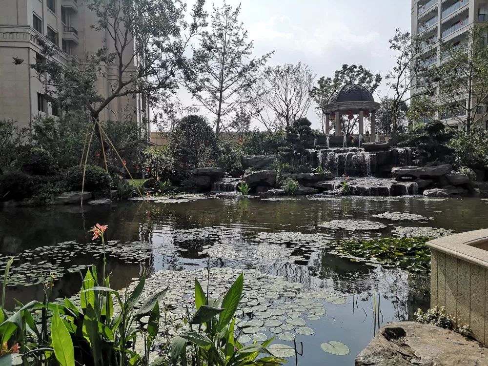 验房报告丨宣传过分的宏地温州望府质量还不错但地下室惊现奇葩车位
