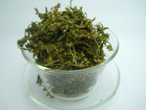 5,自制护肝茶水飞蓟,姜黄和蒲公英都被认为有助于清洁和保护肝脏.