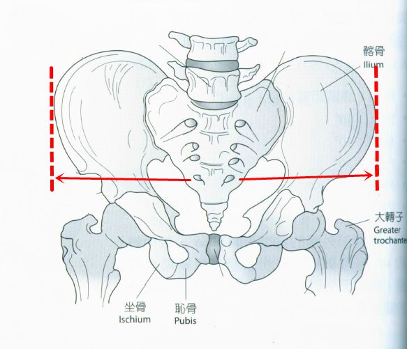 程潇因裤子被挂热搜假胯脖子前伸暴露无遗造型师是黑粉吧