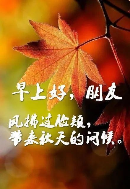 最新版早上好秋天問候祝福語錄,最新漂亮早晨好秋天問候圖片