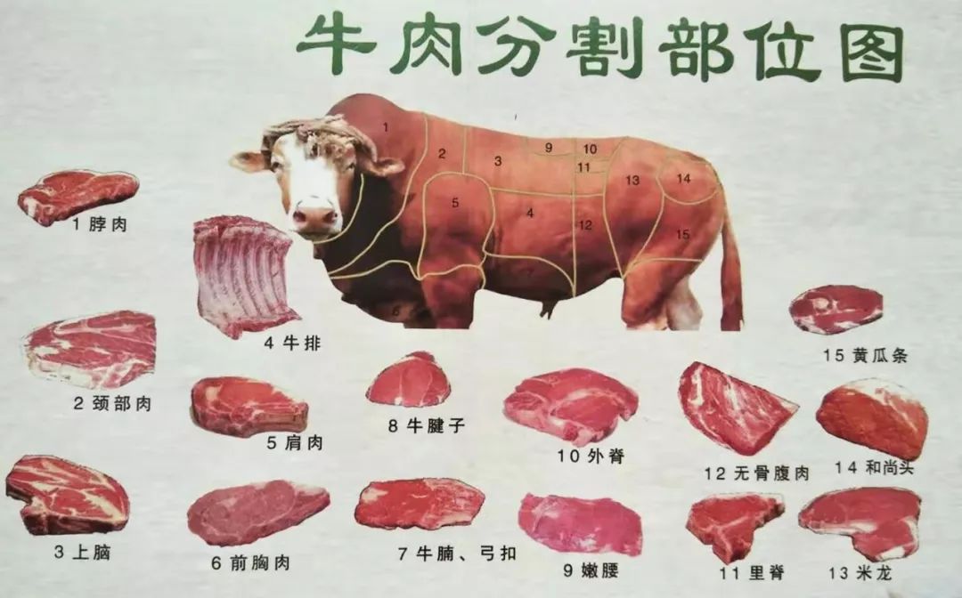 牛肉横膈膜在哪里图片