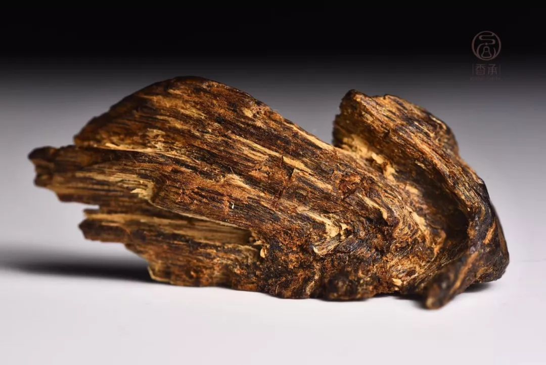 原创莞香树鹰木沉香树与蜜香树都长啥样所结沉香有何区别