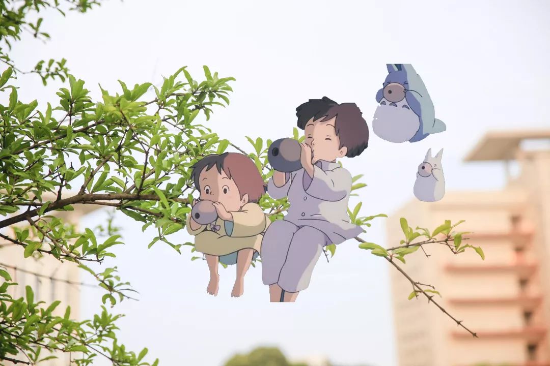 说说当宫崎骏动画潜入武交院他们和学校一起待你归来