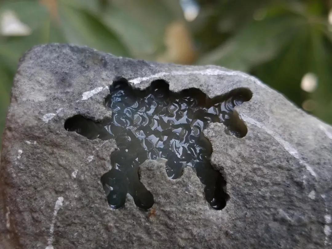 莫西沙老象皮翡翠原石,打灯现冰种黄雾,出货的样子真的很美!