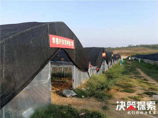 方城县杨集镇:脱贫攻坚重在看质量