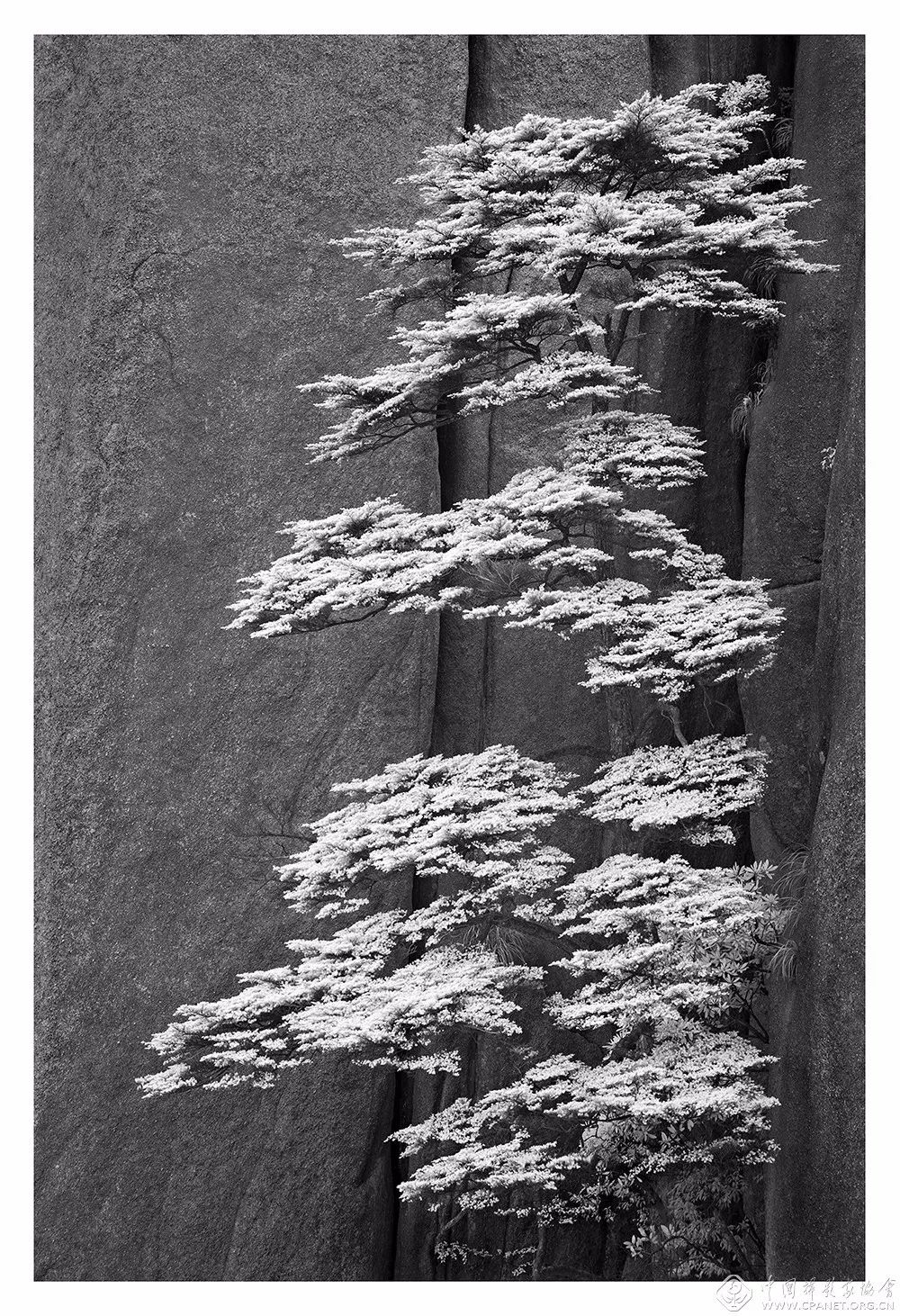 第十二届中国摄影金像奖董冬奇境缘之空山