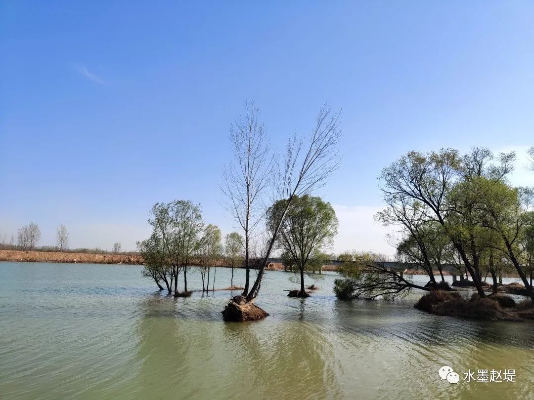 大浪口古村落"aaa级"景区老房老街 乡愁满庄东湖游园"莲"廉"结合