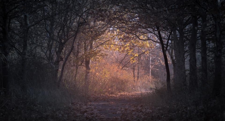 周围一片红海中的家电产业，还有蓝海的商业机会吗？-家电圈官网