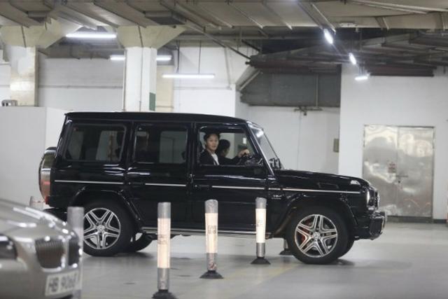 张智霖没有放弃再当爸求袁咏仪养只追女猫其实是想生女儿