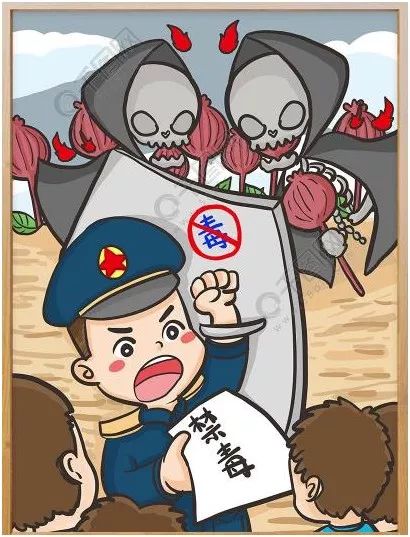 【专栏】罂粟花的控诉_毒品