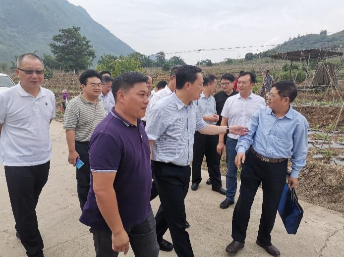 姚奕生市长调研珠海农控集团怒江蔬菜基地