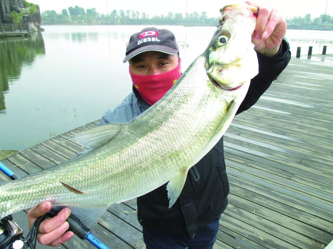 路亚也要知己知彼翘嘴习性大盘点这还能不上鱼一