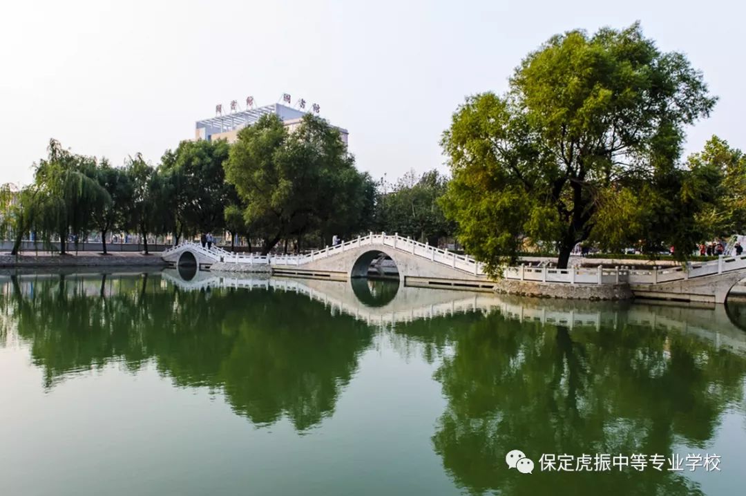 一技傍身驰骋天下,学技术就到虎振学校_保定