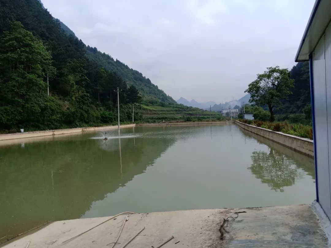 都六村清水魚養殖基地