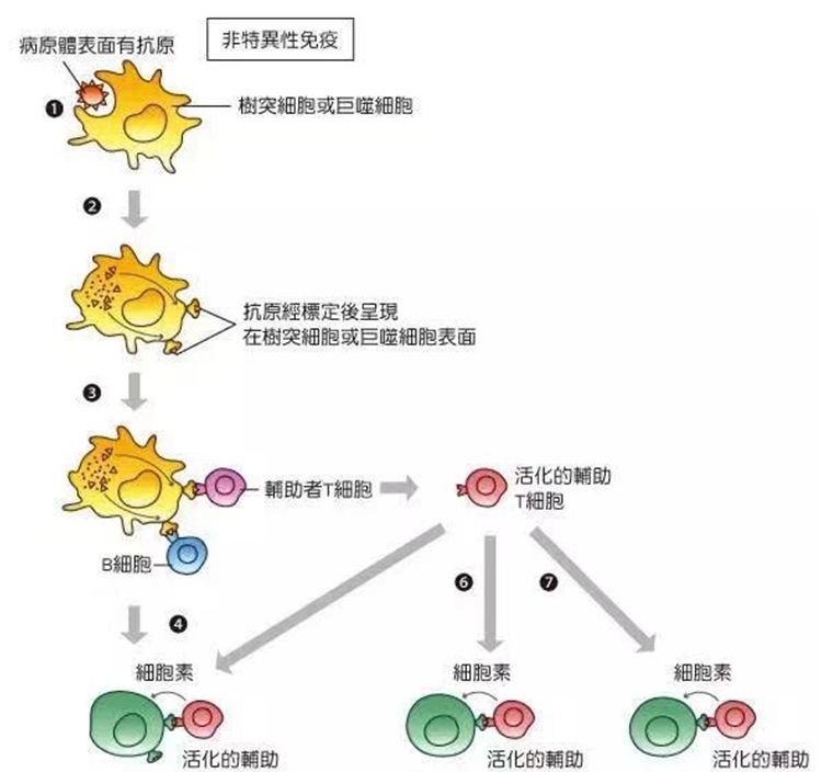 什麼是自身免疫性腦炎?