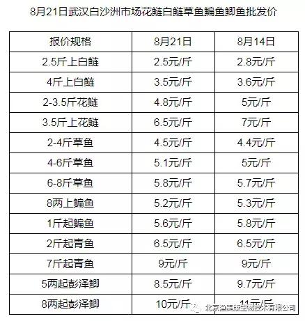 技术干货四大家鱼价格在飙升能不能赚钱还有一劫白露管理