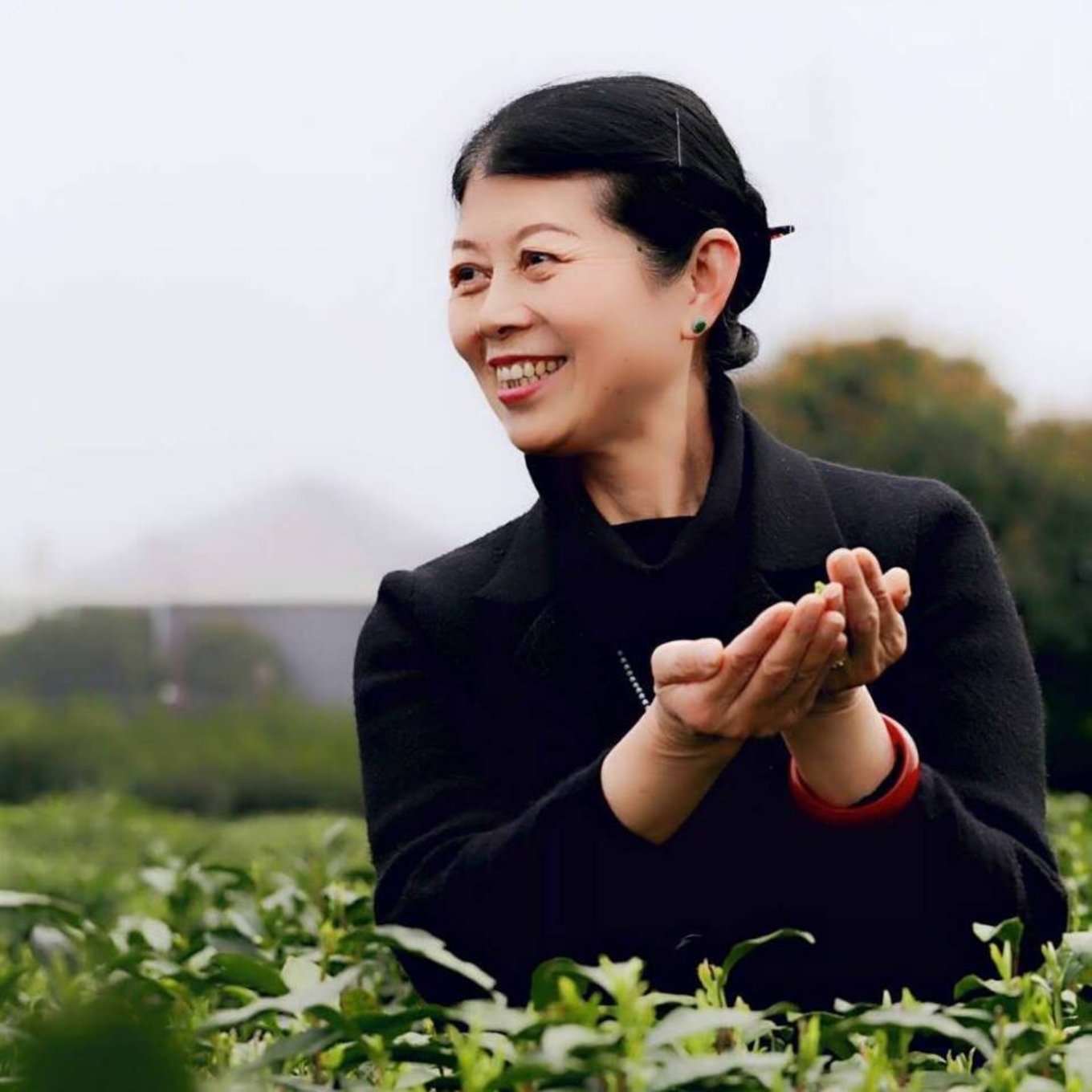 a 沈红讲 龙井时间比较紧凑,语句稍欠修缮,就当是写给自己吧.