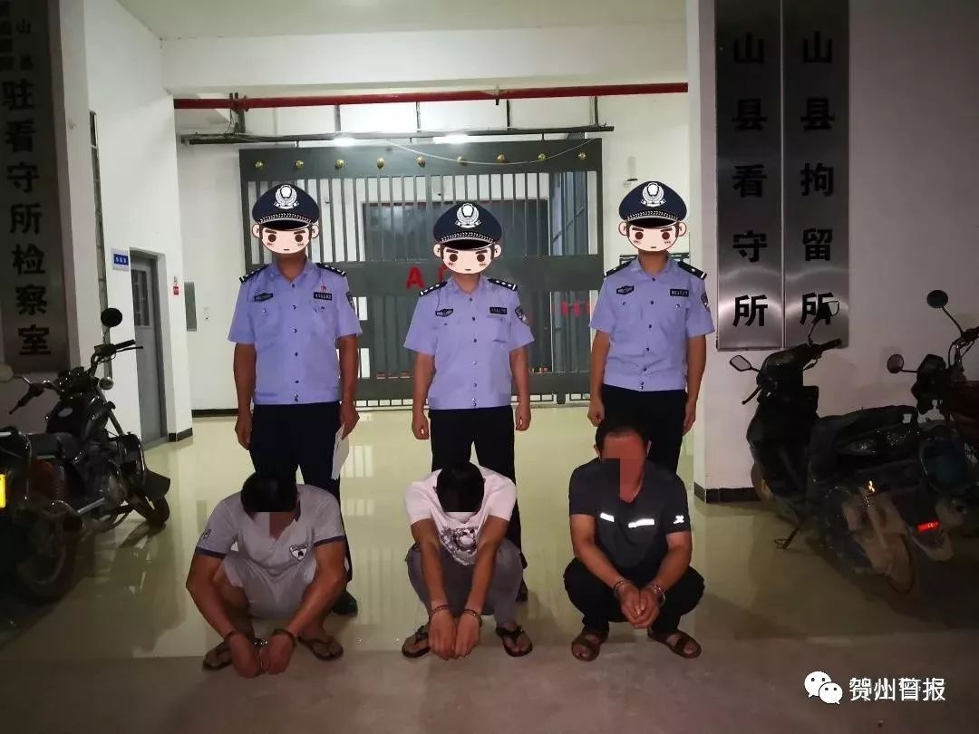 发招嫖小卡片贺州警方打掉一组织卖淫团伙