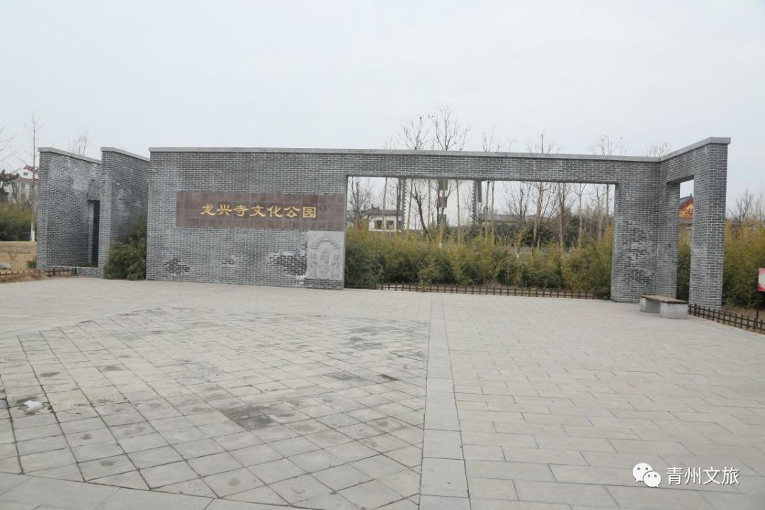 海岱遗珍61古遗址篇一龙兴寺遗址