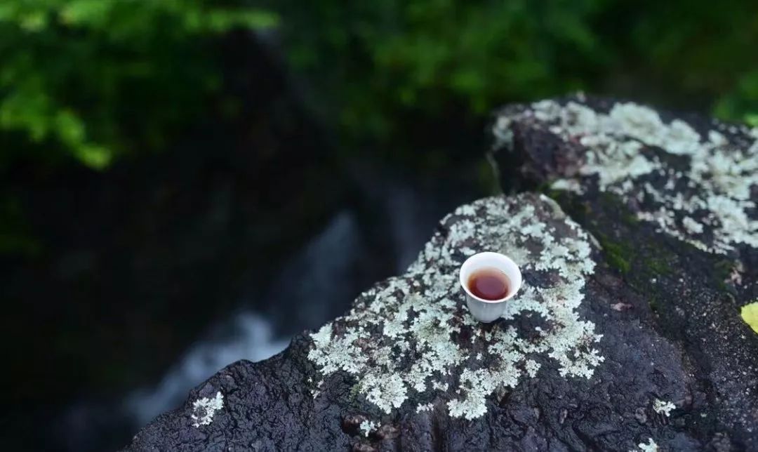 有茶有琴有禅意的图片图片