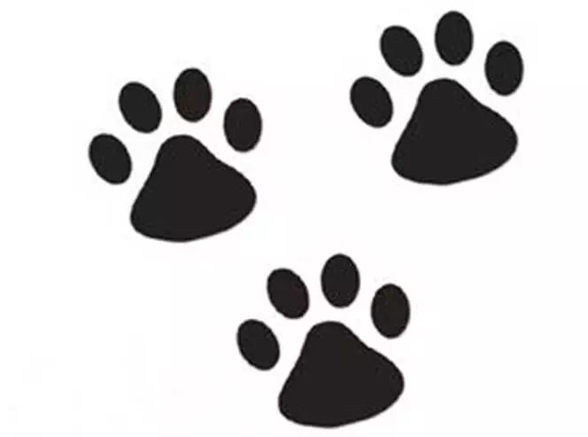 猫咪脚印符号图片